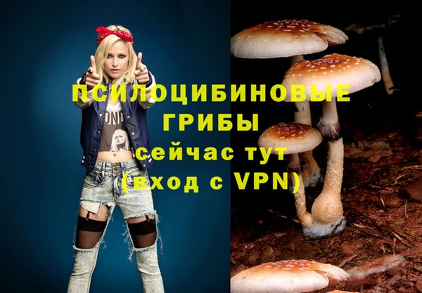 твердый Лагань