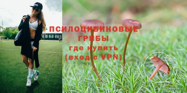 мяу мяу мука Михайлов