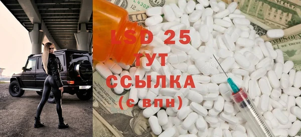 PSILOCYBIN Пионерский