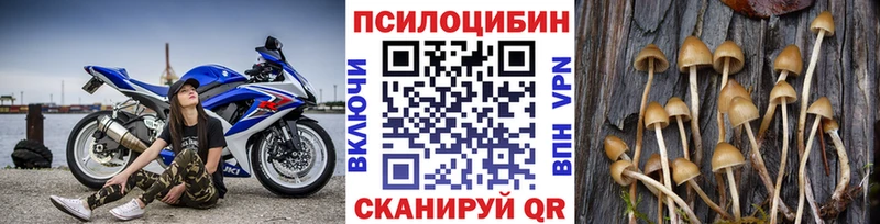 Псилоцибиновые грибы Cubensis  где можно купить наркотик  Снежногорск 